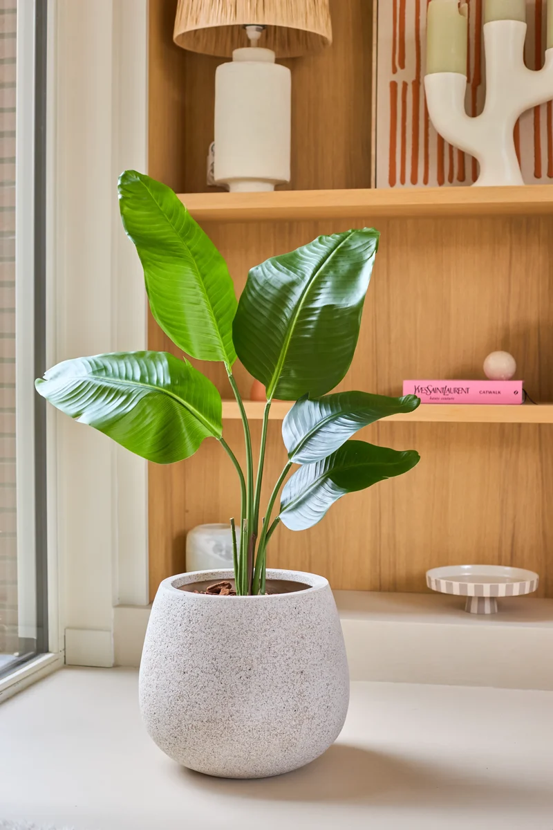 Künstliche Pflanze Strelitzia 90 cm real touch