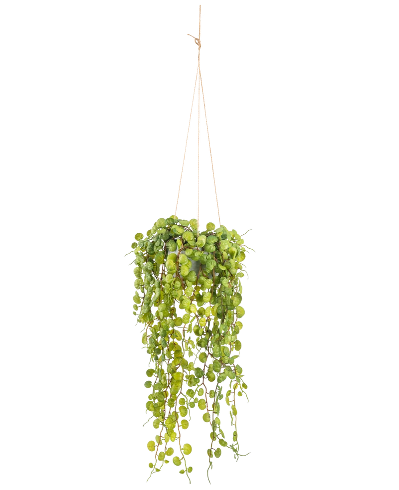 Künstliche hängende Sukkulente 53 cm im Topf