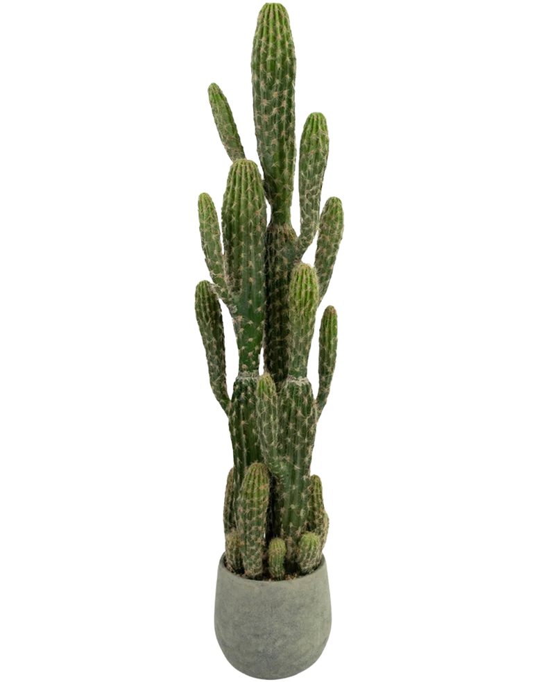 Künstlicher Kaktus 100 cm