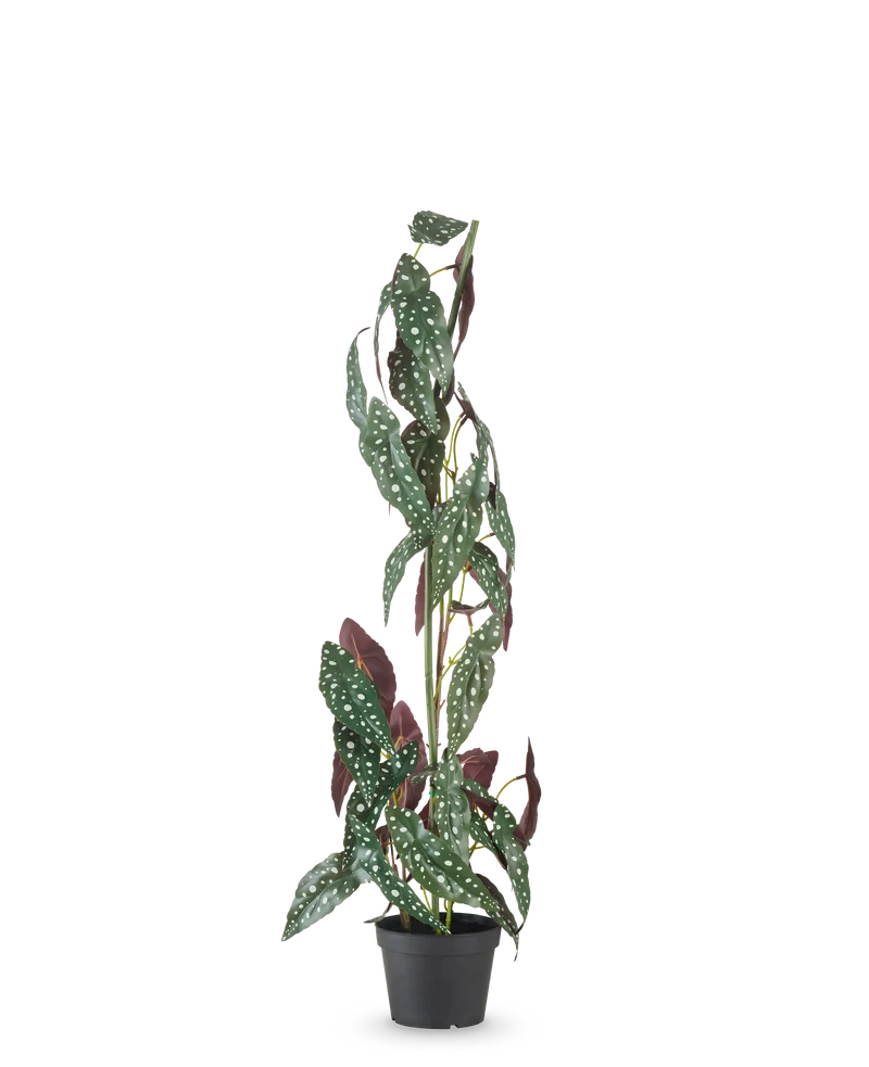 Kunstpflanze Begonia Maculata 90 cm grün/rot