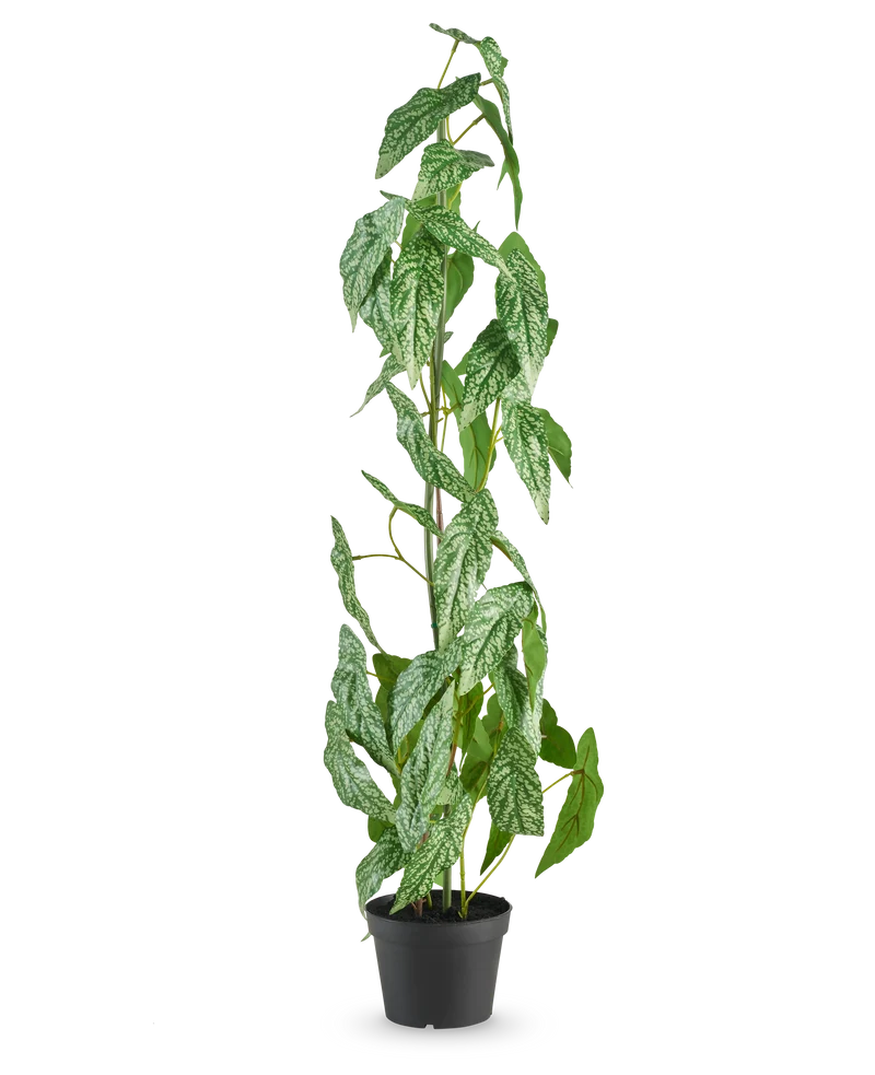 Kunstpflanze Begonia Maculata 90 cm grün