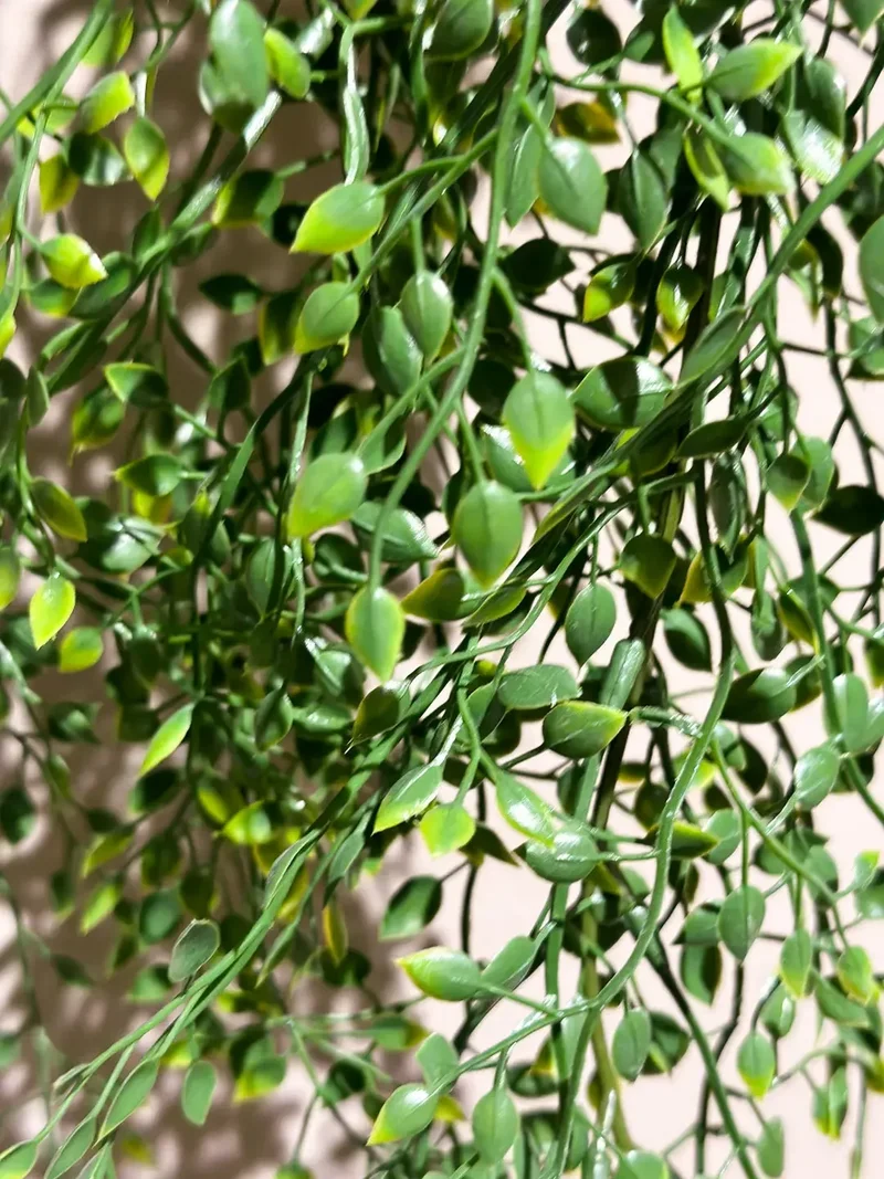 Künstlicher Hänge-Jasmin - Levin | 80 cm