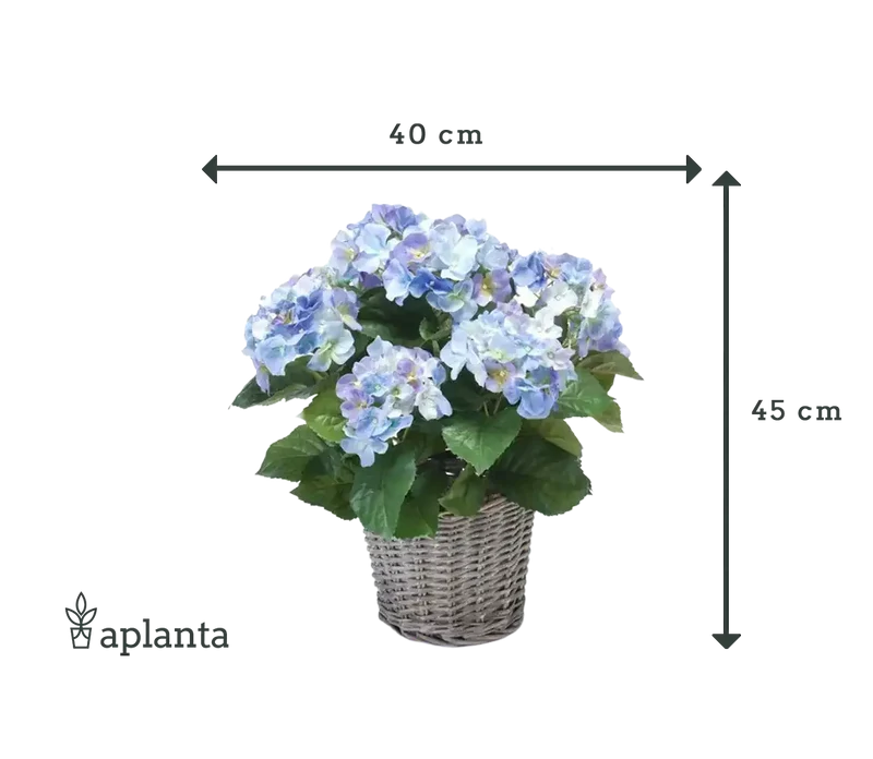 Künstliche Hortensie - Levi | 45 cm