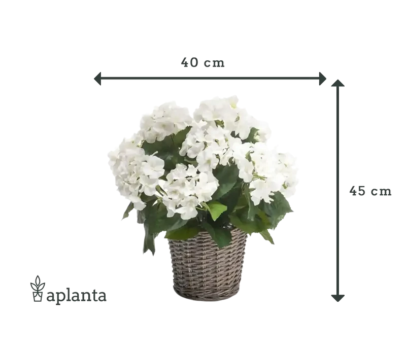Künstliche Hortensie - Lenny | 45 cm