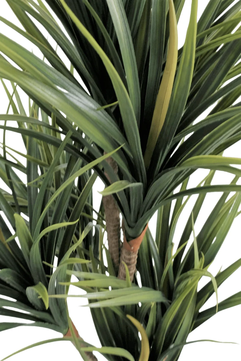 Dracaena Kunstpflanze 130cm