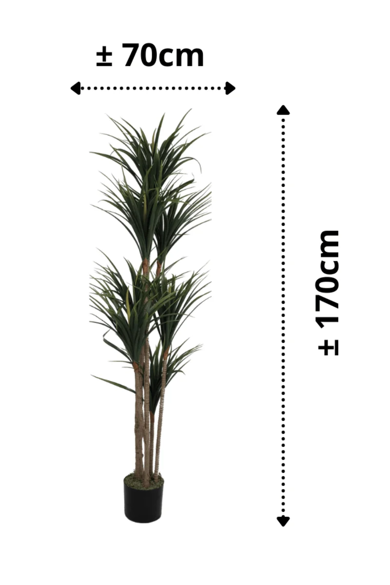 Dracaena Kunstpflanze 170cm