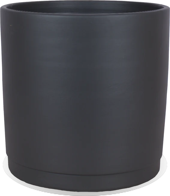 Saar (38cm)