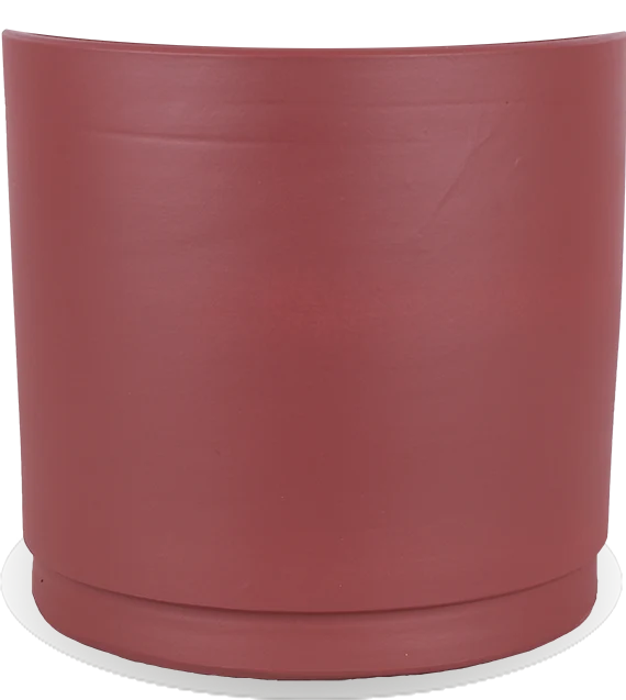 Saar (38cm)