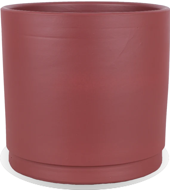 Saar (32cm)