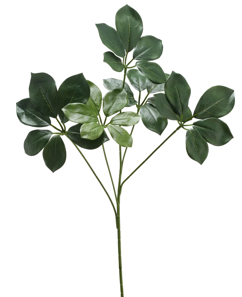 Künstlicher Zweig Schefflera spray 50 cm FR