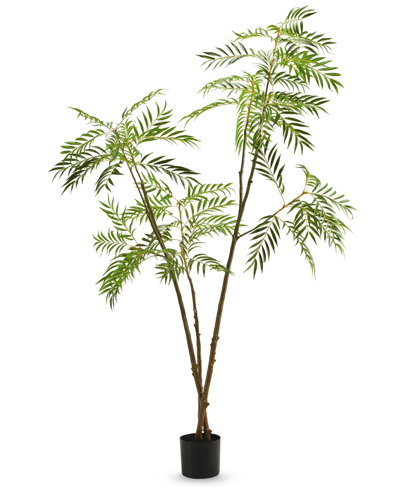 Künstliche Pflanze Mahonia 210 cm