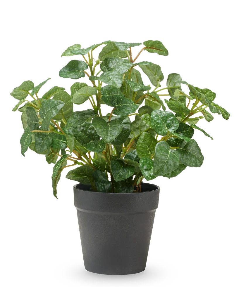 Künstlicher Pumila im Topf 25 cm UV