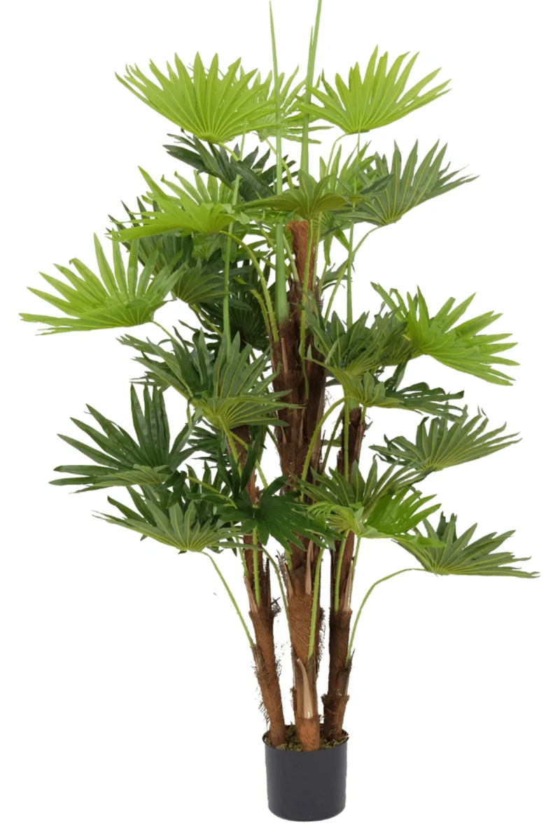 Fächerpalme Kunstpflanze 150cm