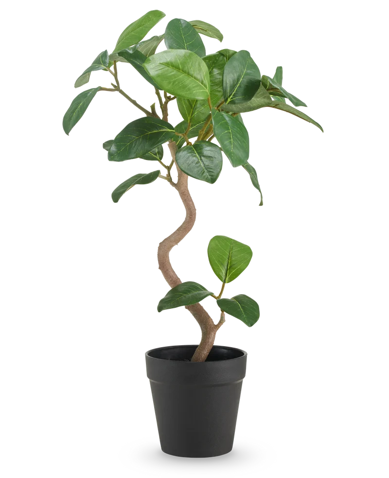 Künstlicher Ficus Elastica 42 cm