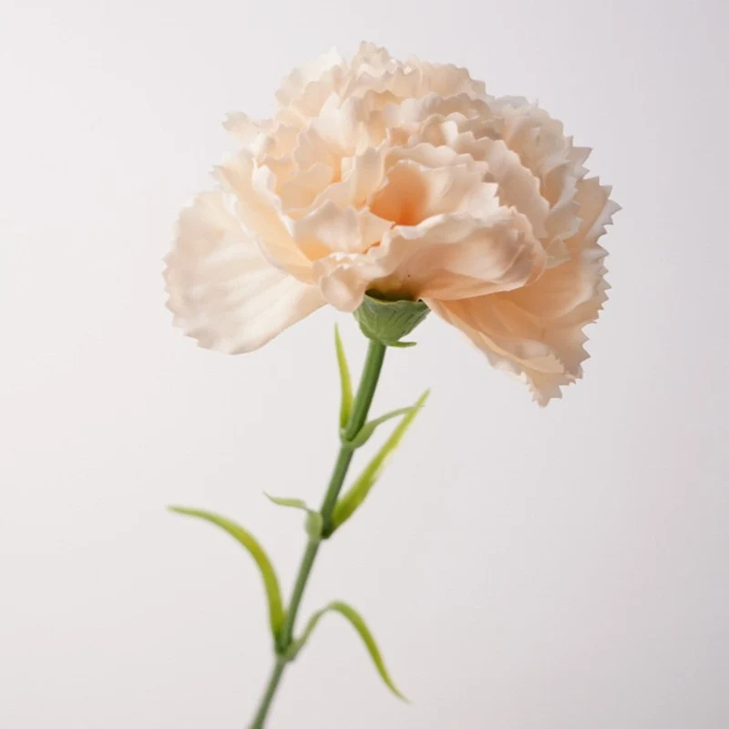 Real Touch Nelken 50 cm, Täuschend Echte Kunstblume mit Stiel, Premium Seidenblume für Hochzeit, Floristik & Vasen-Deko, langlebig