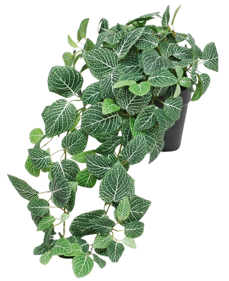 Künstliche hängende Fittonia grün-weiß im Topf 70 cm UV