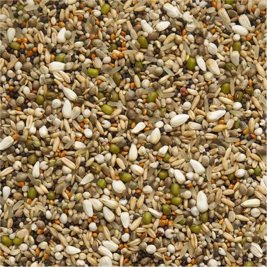 Premium Candy Seed Exclusive 5 kg - Beyers