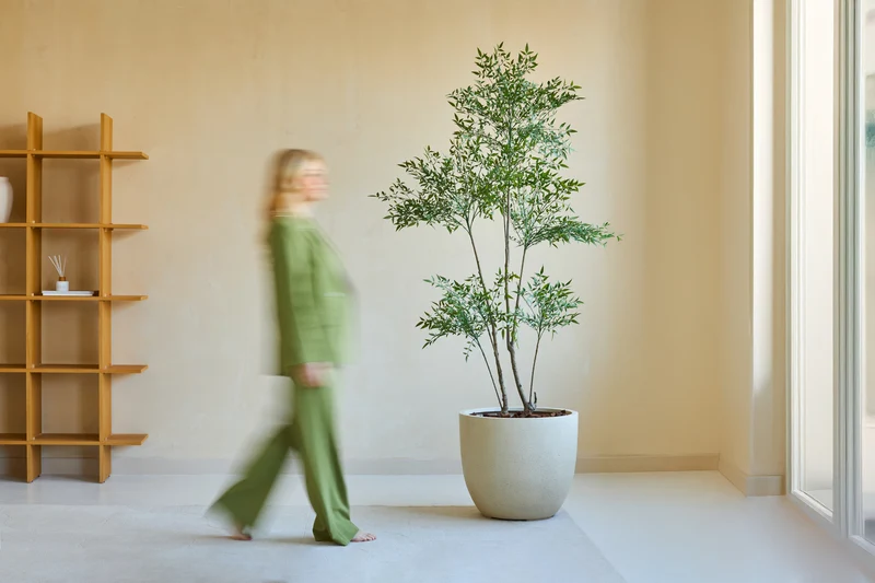 Kunstplant Ruscus 180 cm