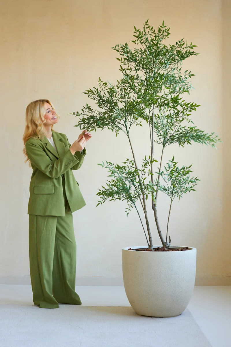 Kunstplant Ruscus 180 cm