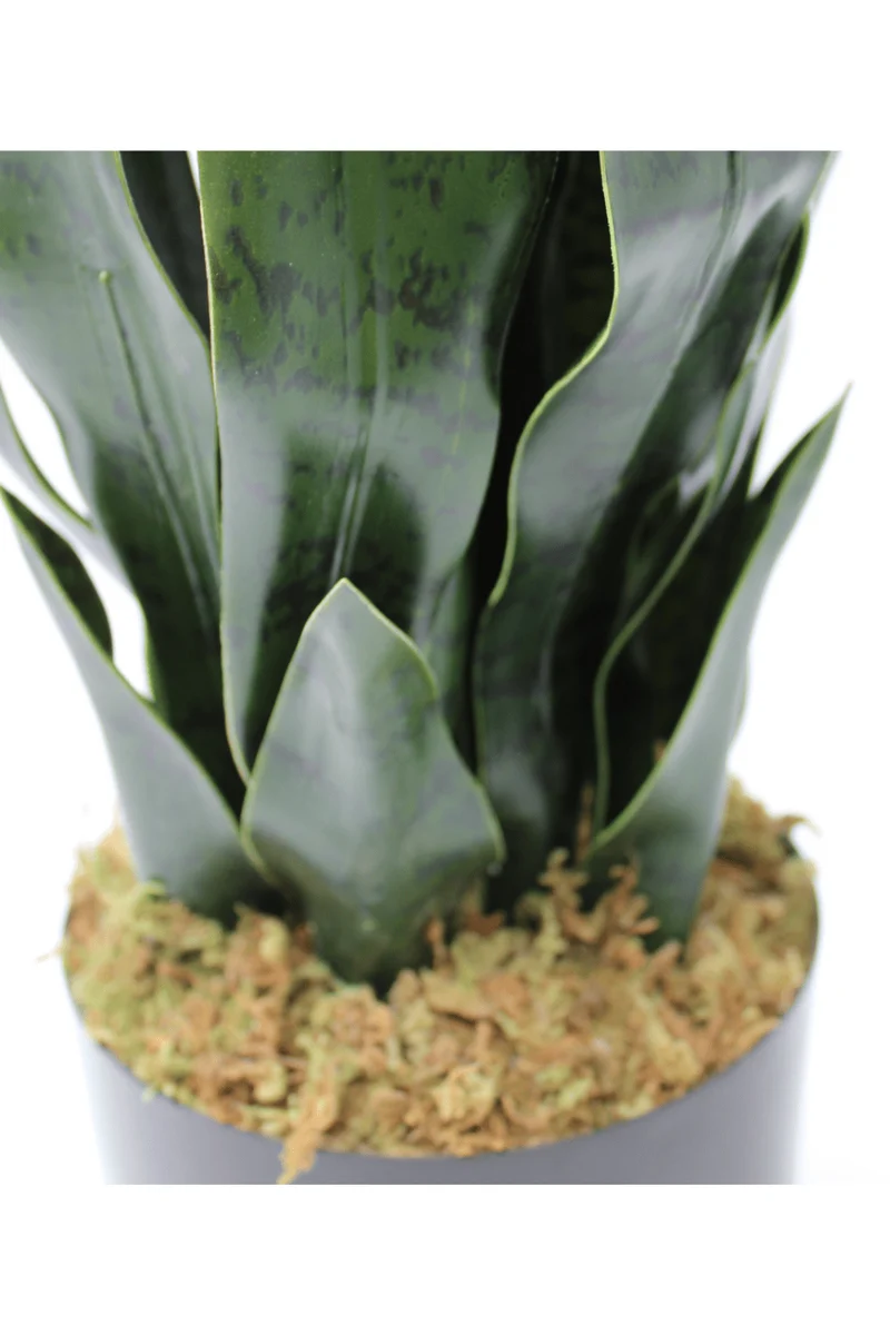 Sansevieria Kunstpflanze 40cm