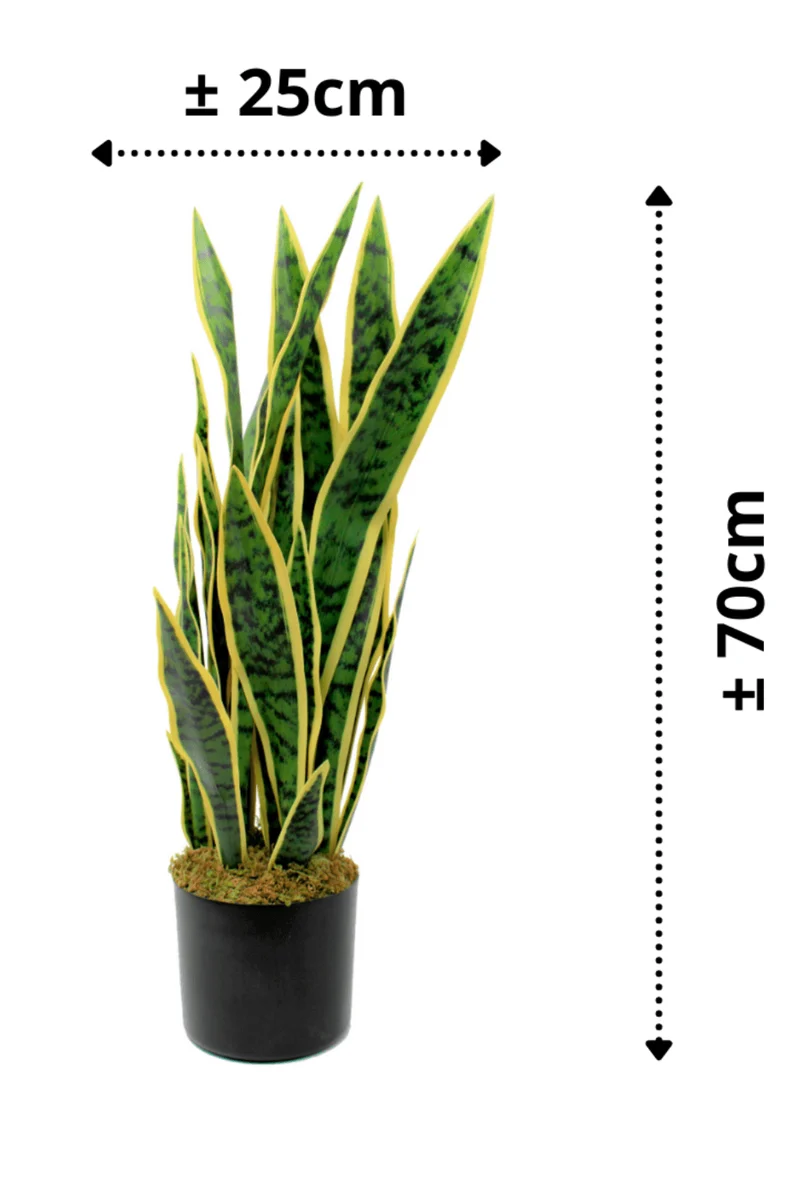Sansevieria Kunstpflanze 70cm