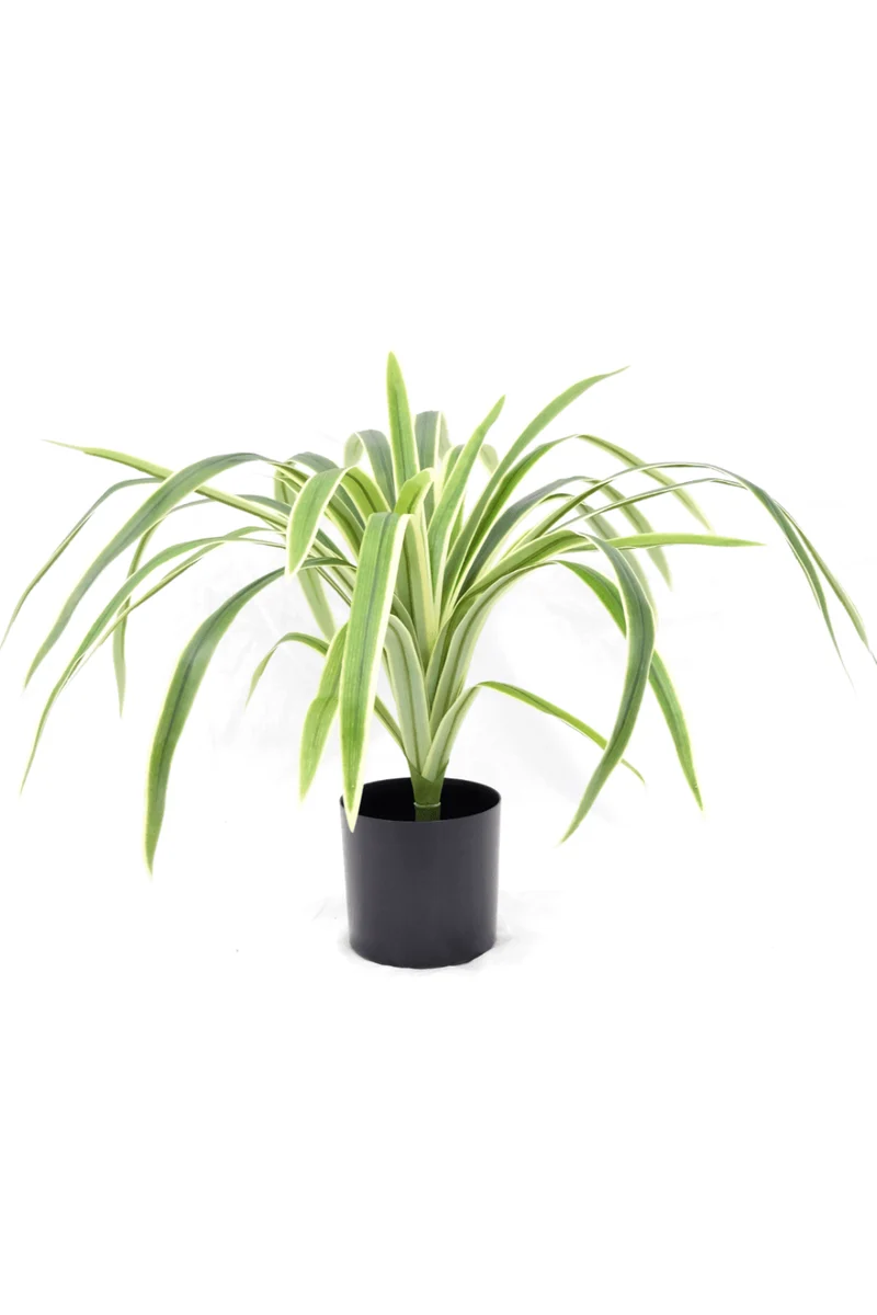 Dracaena Kunstpflanze 60cm Grün