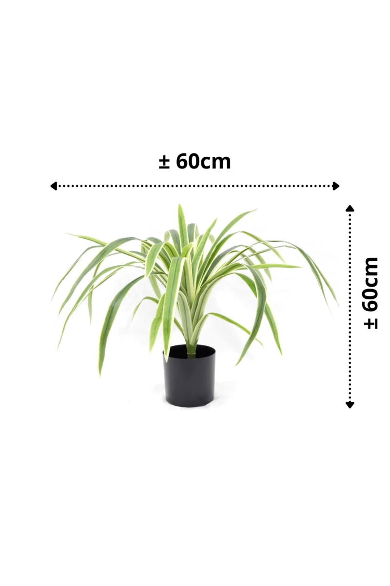 Dracaena Kunstpflanze 60cm Grün
