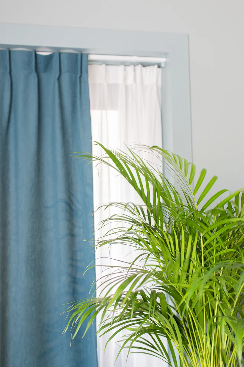 Areca Palme (Goldfruchtpalme) (L)
