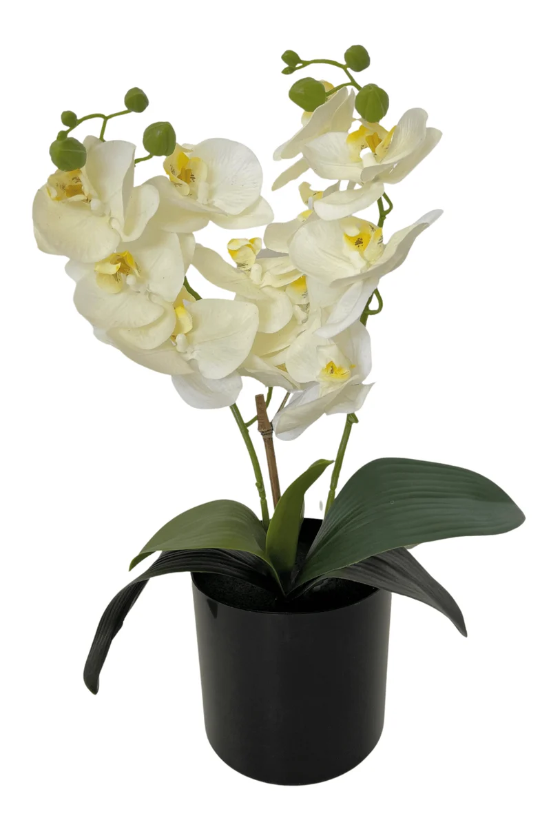 Orchidee Kunstpflanze Weiß 30cm
