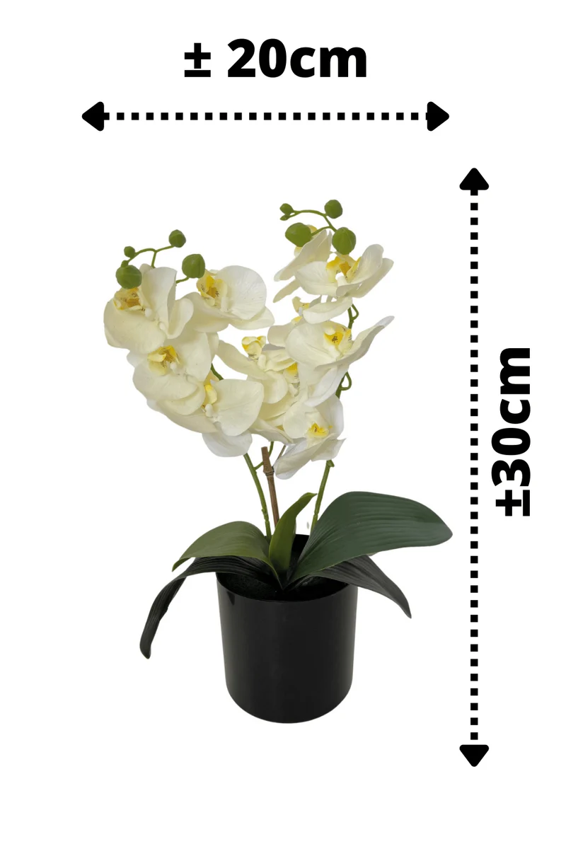 Orchidee Kunstpflanze Weiß 30cm