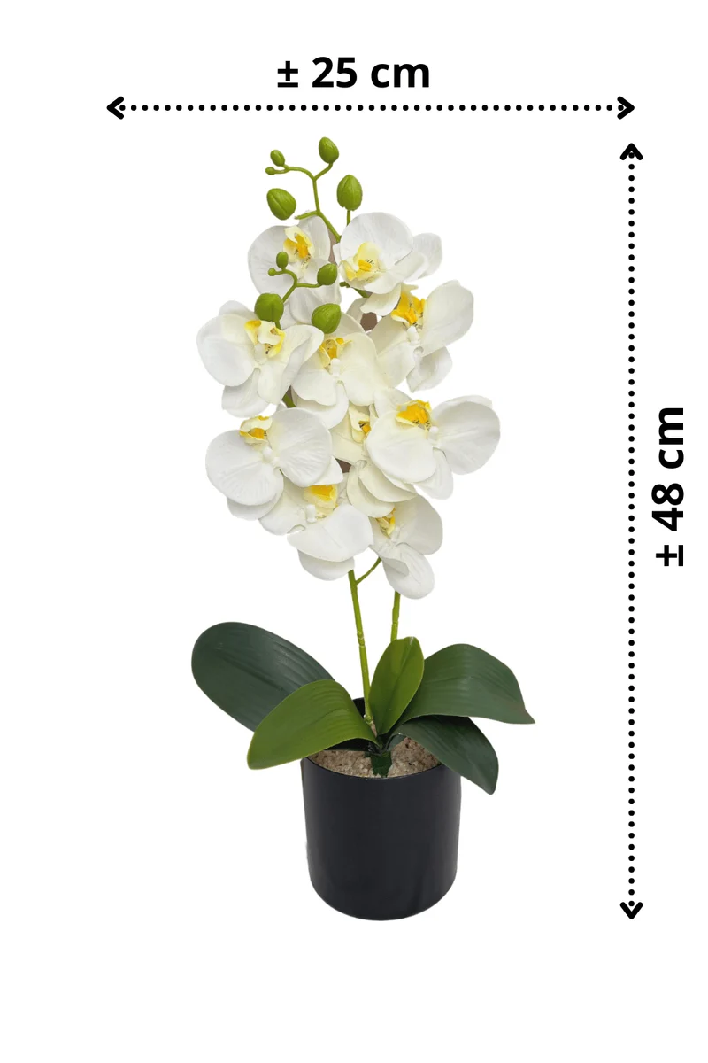 Orchidee Kunstpflanze Weiß 48cm