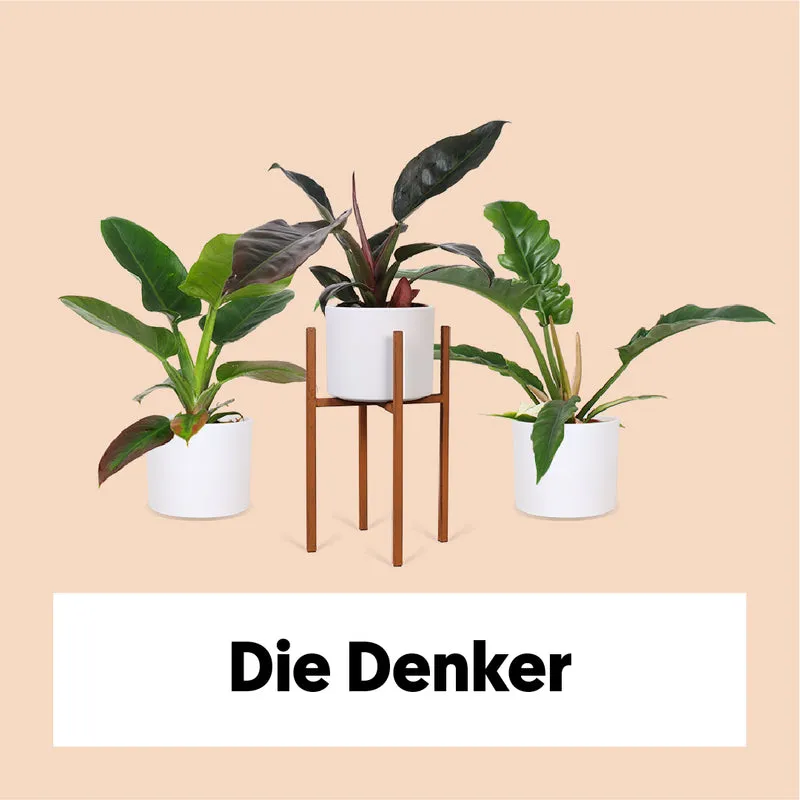 Die Denker