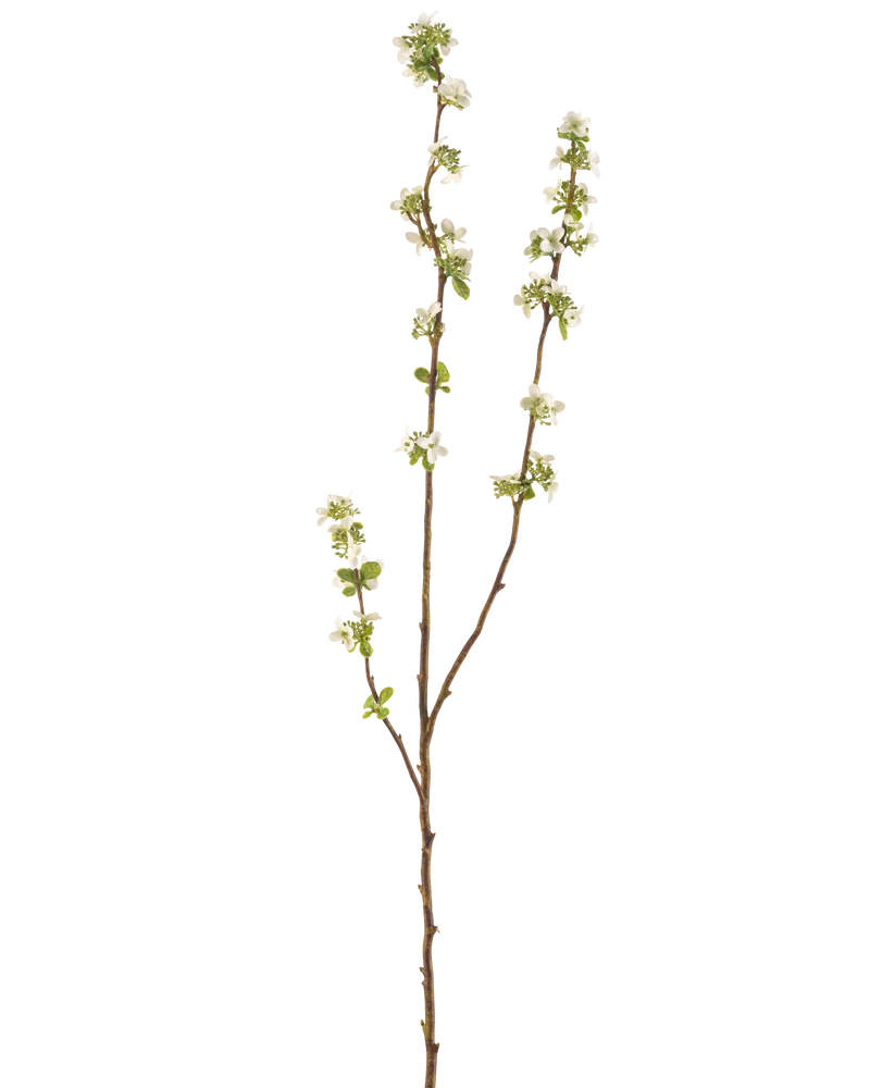 Künstlicher Zweig Seed Box 104 cm creme
