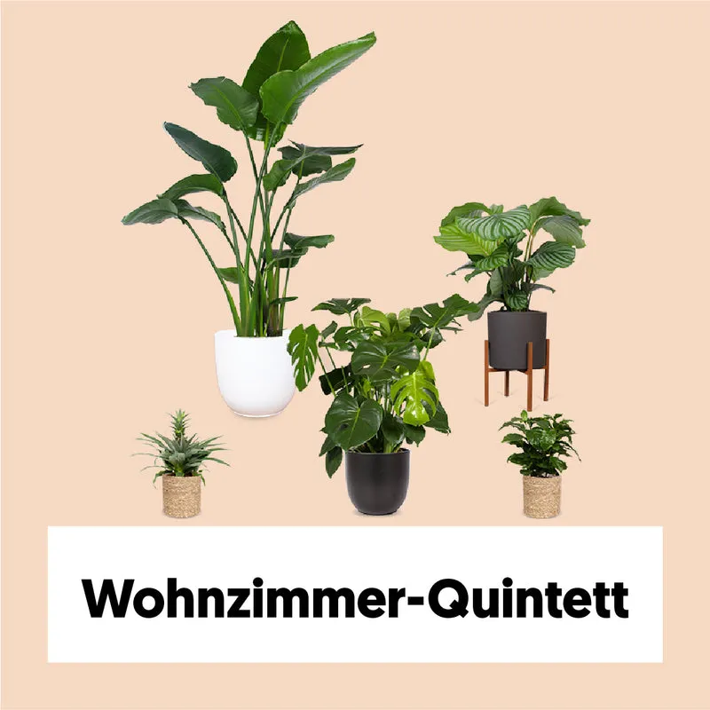 Wohnzimmer-Quintett