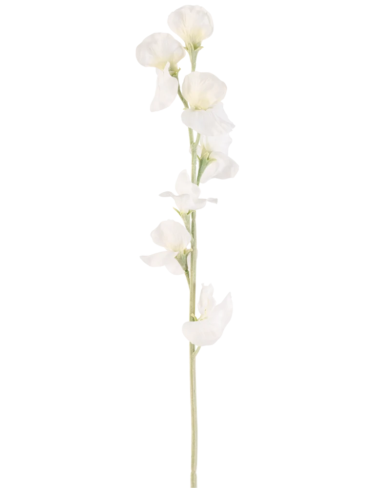 Künstliche Blume Erbse 64 cm creme
