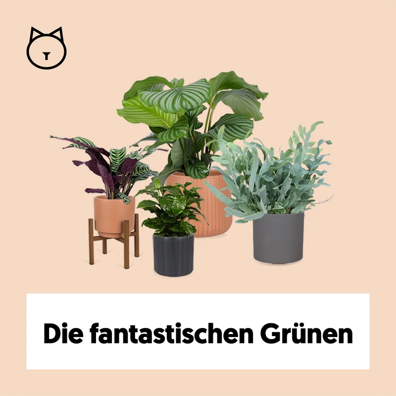 4 Tierfreunde