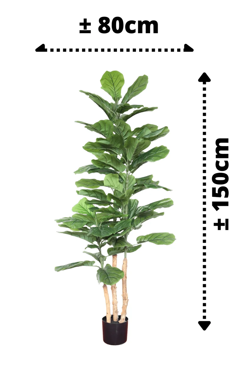 Ficus Kunstpflanze 150cm