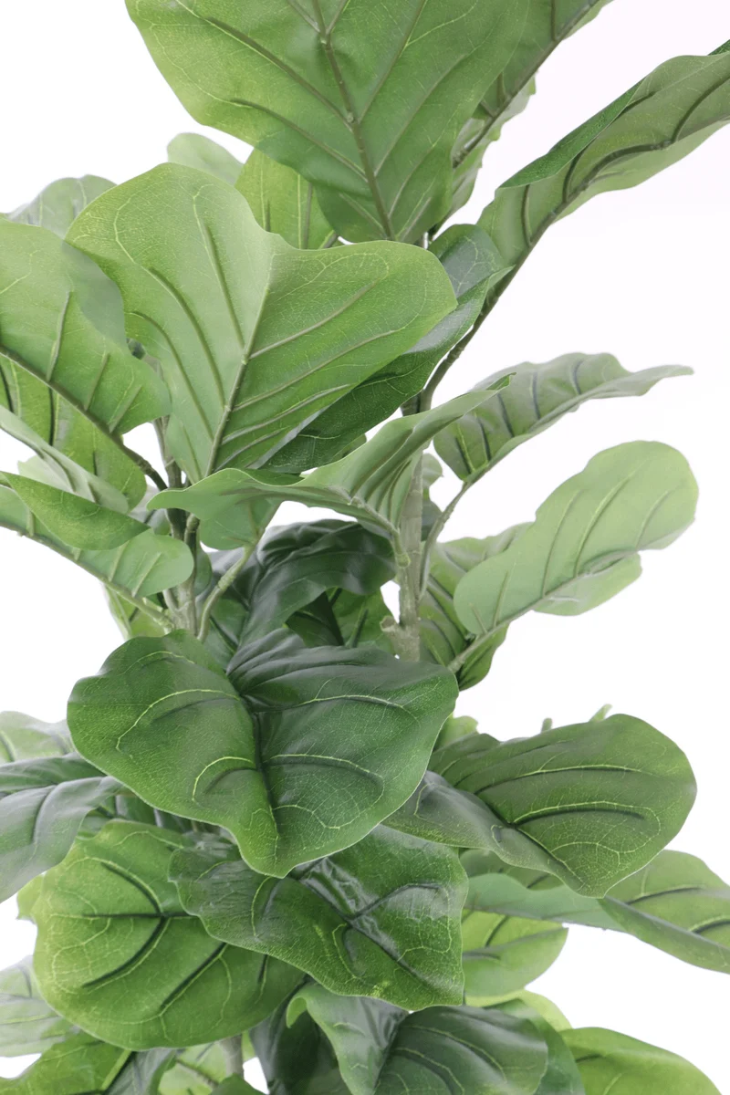 Ficus Kunstpflanze 150cm