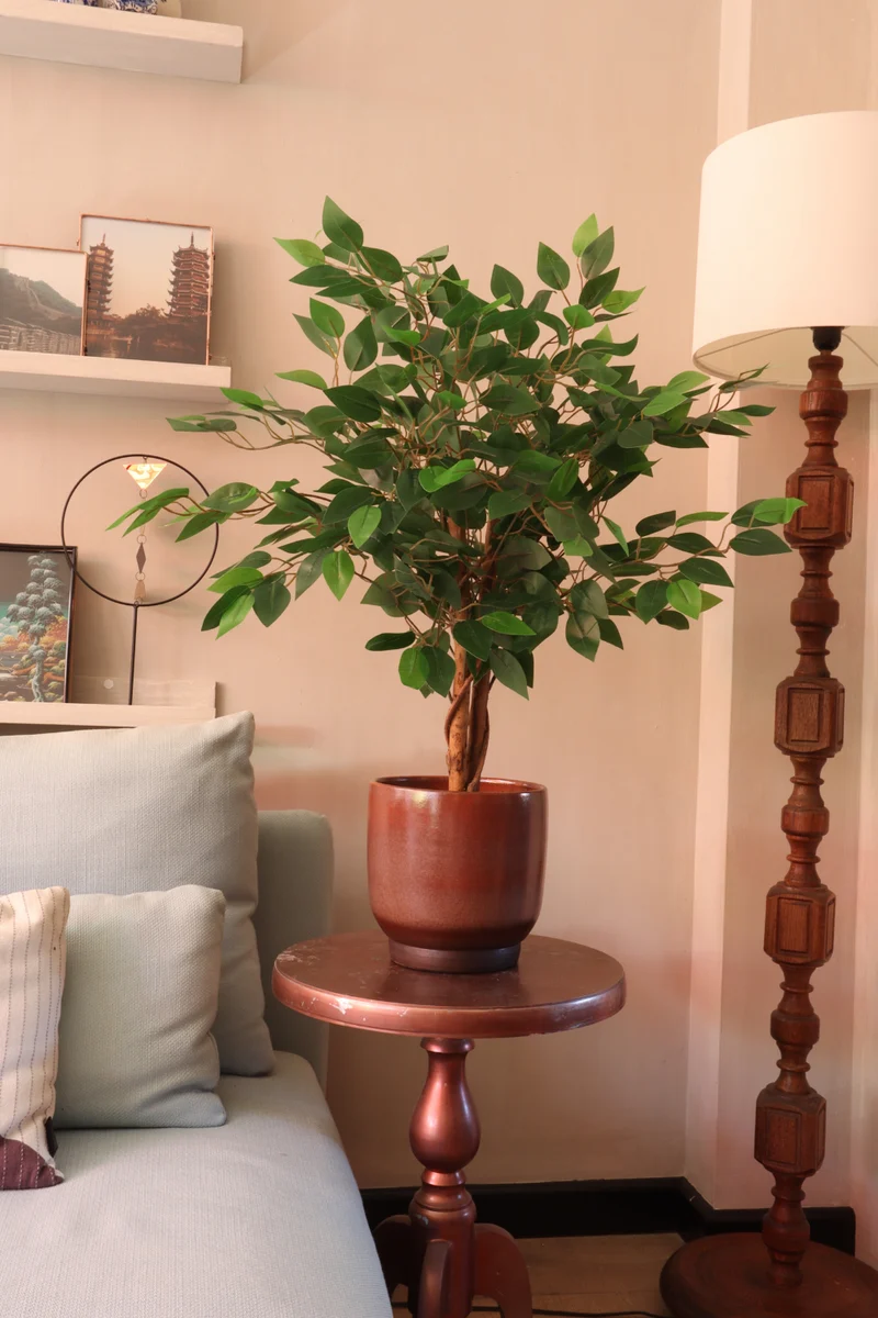 Ficus Kunstpflanze 90cm