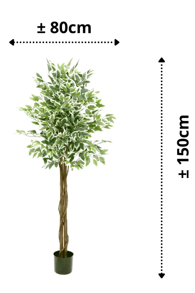 Ficus Kunstbaum 150cm