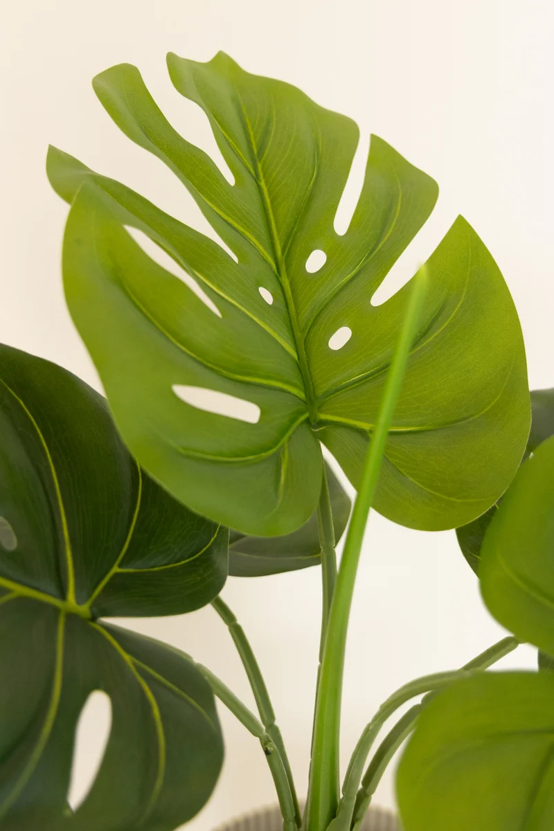Monstera Kunstpflanze 60cm