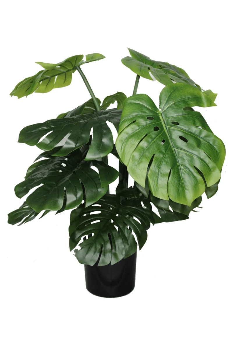 Monstera Kunstpflanze B 80cm