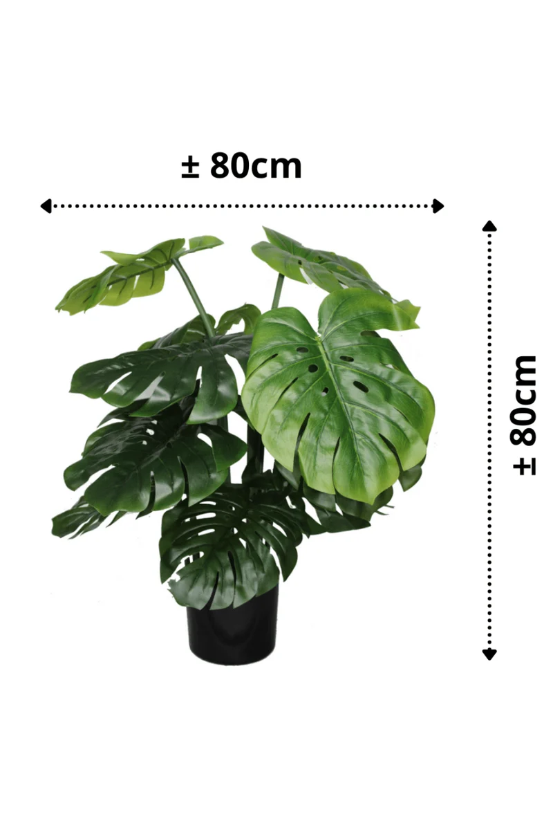 Monstera Kunstpflanze B 80cm
