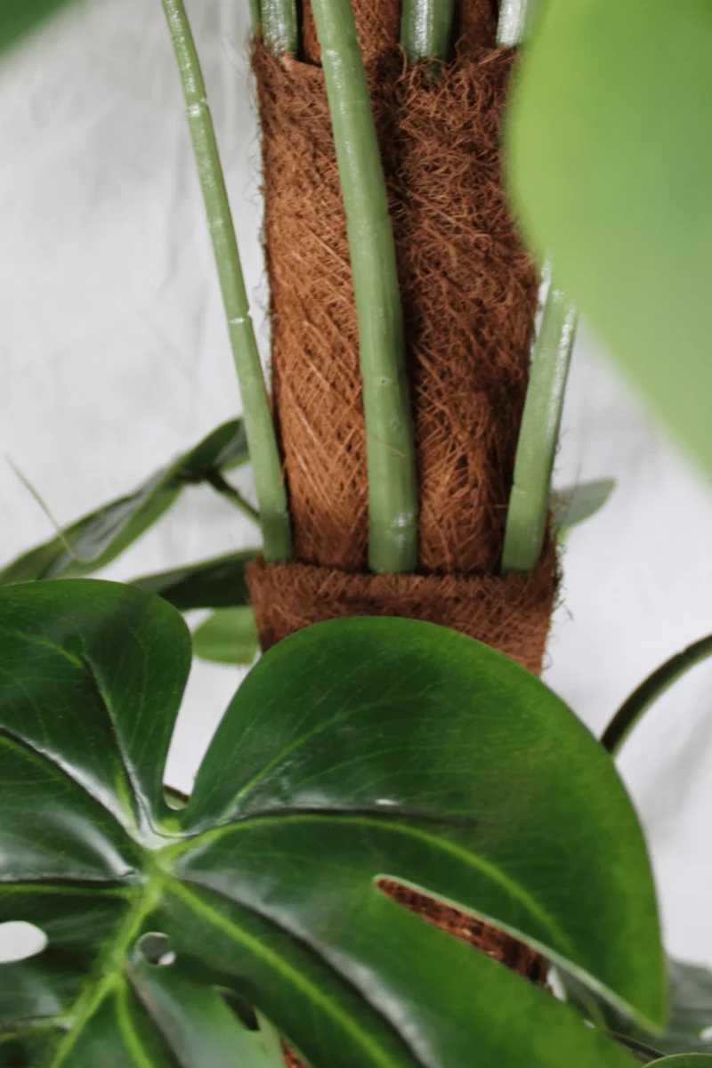 Monstera Kunstpflanze 150cm