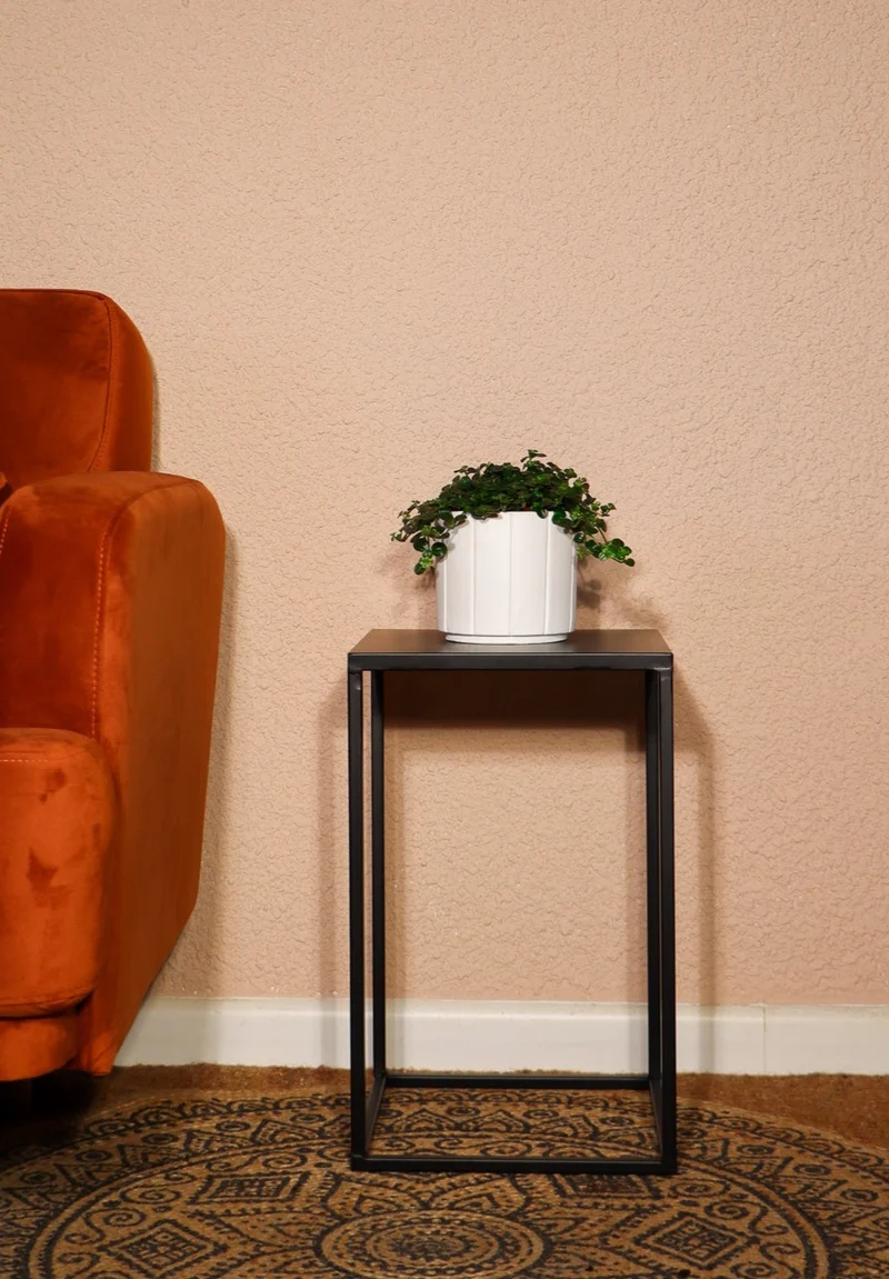 Pilea depressa (Kanonierblume) (S)