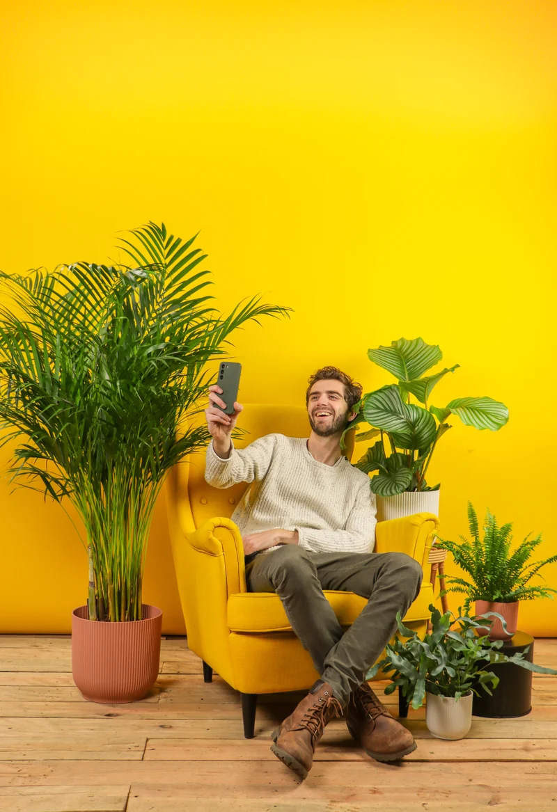 Marty die Palme & das Swing Trio