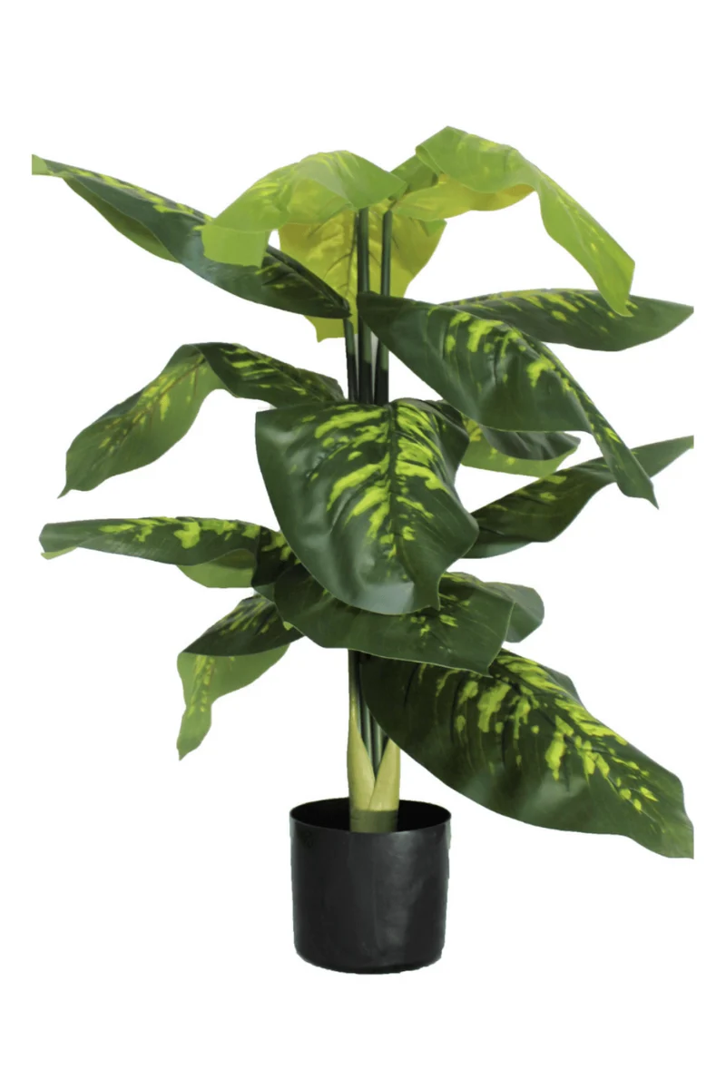 Dieffenbachie Kunstpflanze 100cm