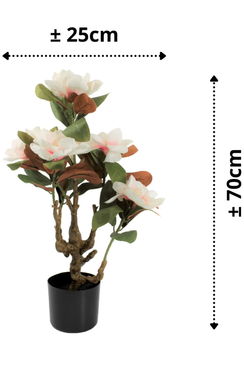 Magnolie Kunstpflanze 70cm