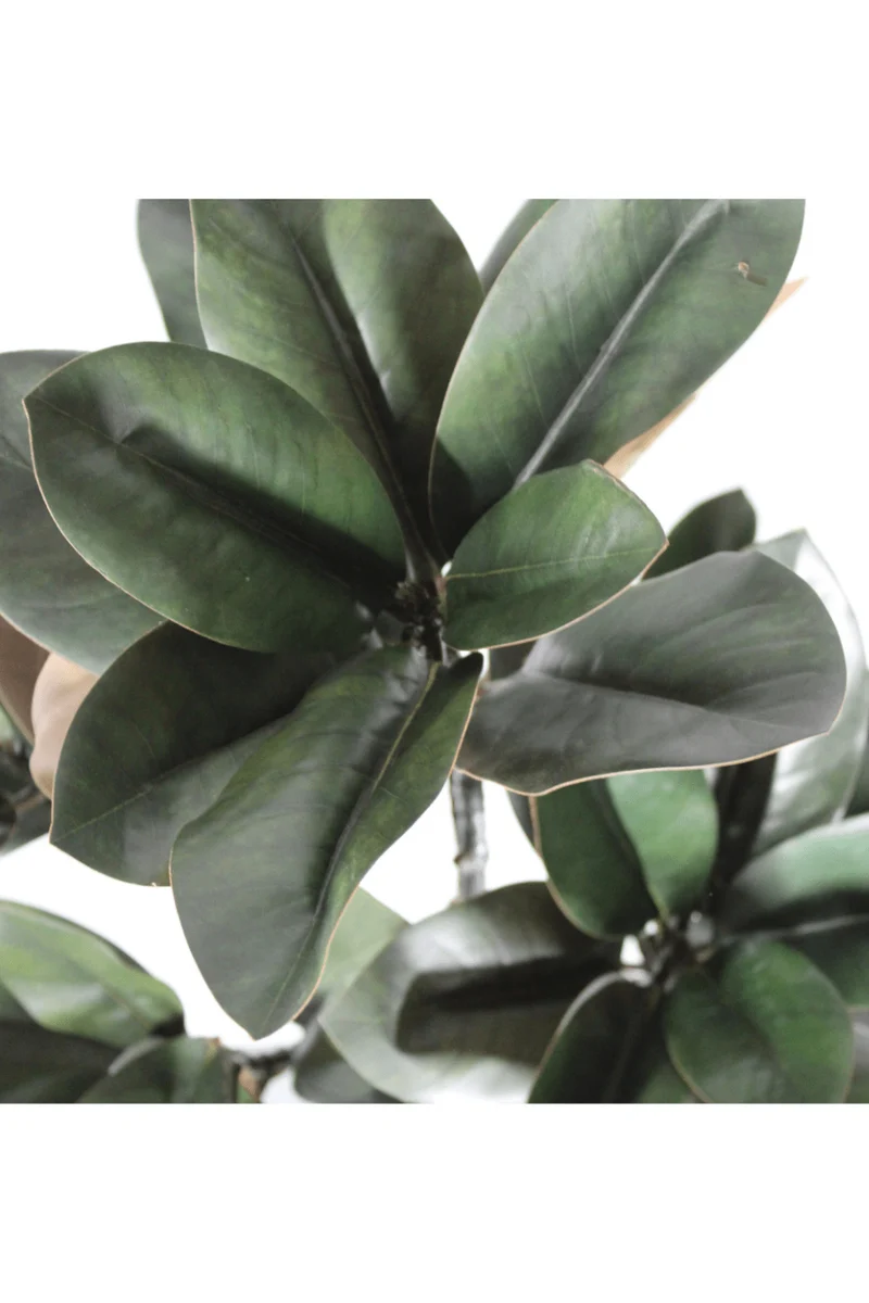 Magnolie Kunstpflanze 90cm