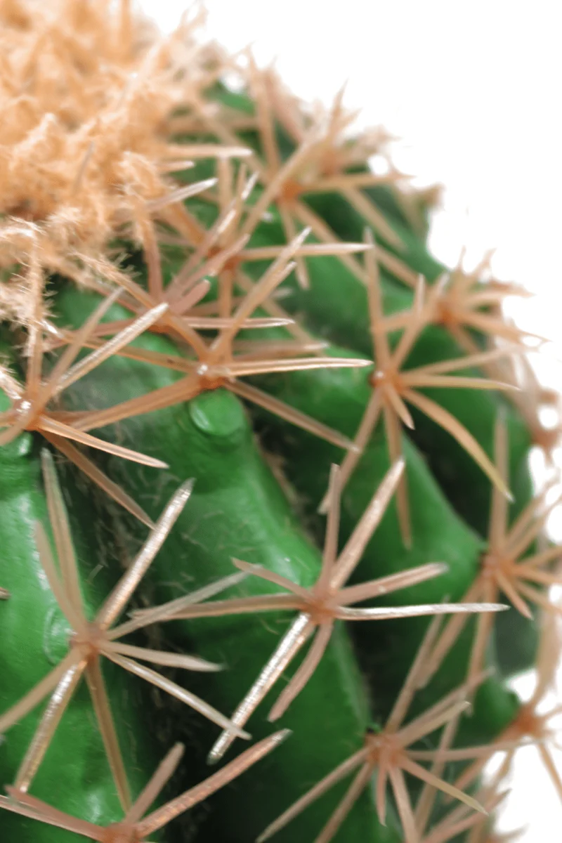 Kaktus Kunstpflanze ∅20cm